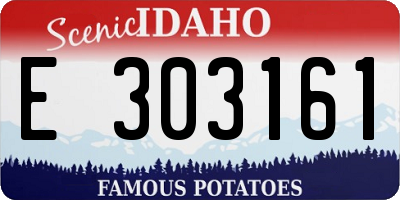 ID license plate E303161