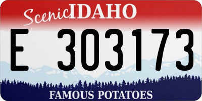 ID license plate E303173