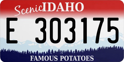 ID license plate E303175