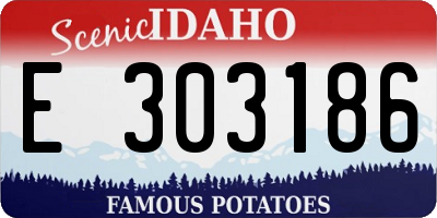 ID license plate E303186
