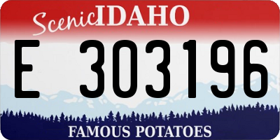 ID license plate E303196