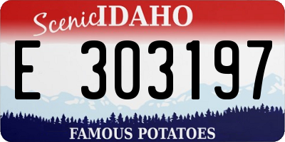 ID license plate E303197