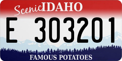 ID license plate E303201