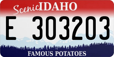 ID license plate E303203