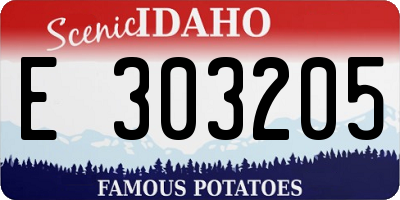 ID license plate E303205