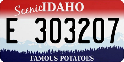 ID license plate E303207