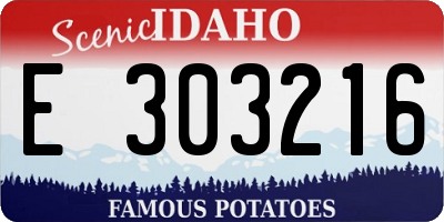ID license plate E303216
