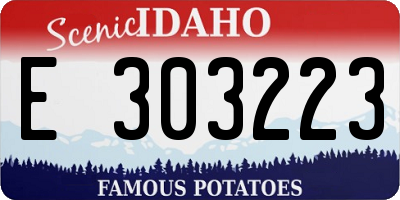 ID license plate E303223