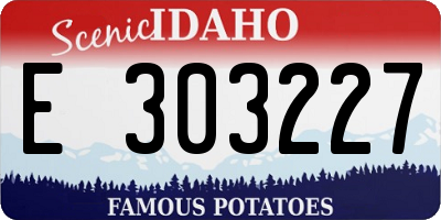 ID license plate E303227