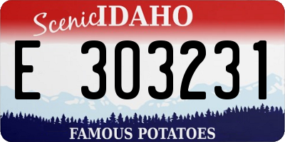 ID license plate E303231