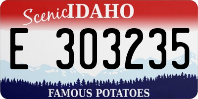 ID license plate E303235