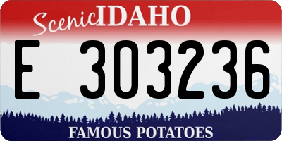 ID license plate E303236