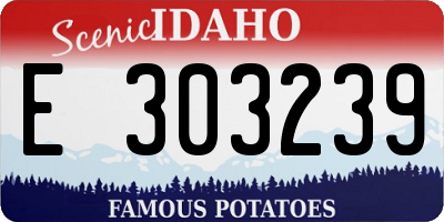 ID license plate E303239