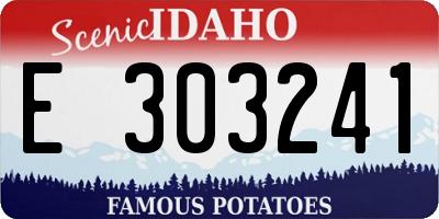 ID license plate E303241