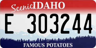 ID license plate E303244
