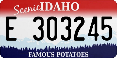 ID license plate E303245