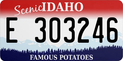 ID license plate E303246