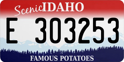 ID license plate E303253