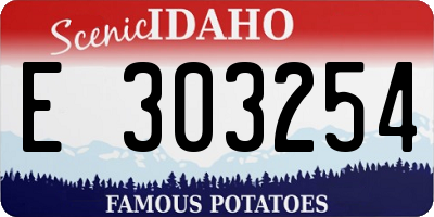 ID license plate E303254