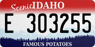 ID license plate E303255