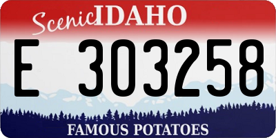 ID license plate E303258
