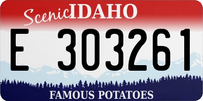 ID license plate E303261