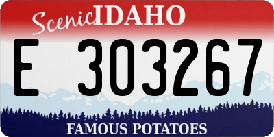 ID license plate E303267