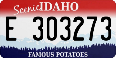 ID license plate E303273