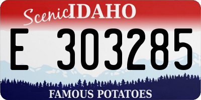 ID license plate E303285