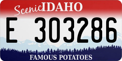 ID license plate E303286