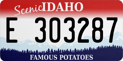 ID license plate E303287