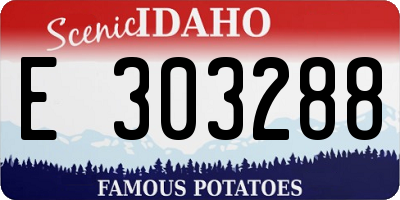 ID license plate E303288