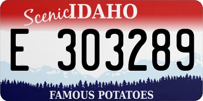 ID license plate E303289