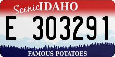 ID license plate E303291