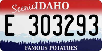 ID license plate E303293