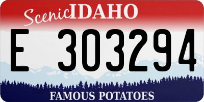 ID license plate E303294