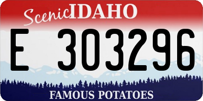 ID license plate E303296