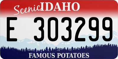 ID license plate E303299