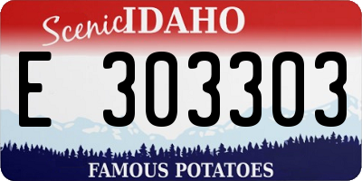 ID license plate E303303