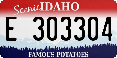 ID license plate E303304