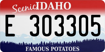 ID license plate E303305