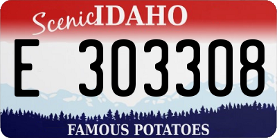 ID license plate E303308