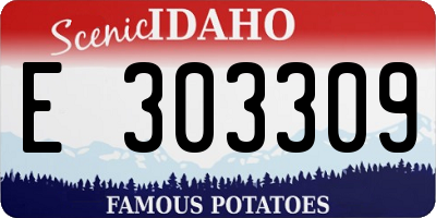 ID license plate E303309