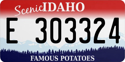 ID license plate E303324