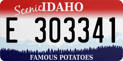 ID license plate E303341