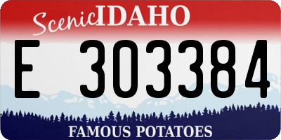 ID license plate E303384