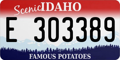 ID license plate E303389