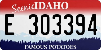 ID license plate E303394