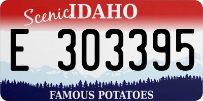 ID license plate E303395