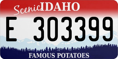 ID license plate E303399